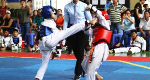 taekwondo1