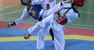 Giải Vô địch Taekwondo TP.HCM 2020: Hơn 200 võ sĩ tranh tài